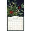 Picture of 2026 Lang MIDNIGHT GARDEN Calendar By Nicole Tamarin