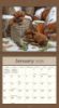 Picture of 2026 Lang PUPPY Calendar By Jim Lamb