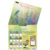Picture of 2026 Lang SONGBIRDS Calendar By Susan Bourdet