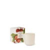 Picture of Circa Fragrance Lychee & Rose Candle 300g