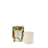 Picture of Circa Fragrance Mango & Papaya Candle 300g
