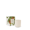 Picture of Circa Fragrance Mango & Papaya Candle 300g