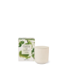 Picture of Circa Fragrance Pear & Lime Candle 300g