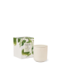Picture of Circa Fragrance Pear & Lime Candle 300g