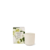 Picture of Circa Fragrance Vanilla Bean & Allspice Candle 300g