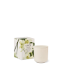 Picture of Circa Fragrance Vanilla Bean & Allspice Candle 300g