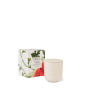 Picture of Circa Fragrance Watermelon & Coconut Candle 300g