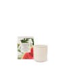 Picture of Circa Fragrance Watermelon & Coconut Candle 300g