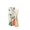 Picture of Circa Fragrance Watermelon & Coconut Diffuser 250ml