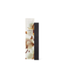Picture of Circa Cotton Flower & Feesia Scent Stems Refill