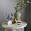 Picture of Circa Mango & Papaya Scent Stems Refill
