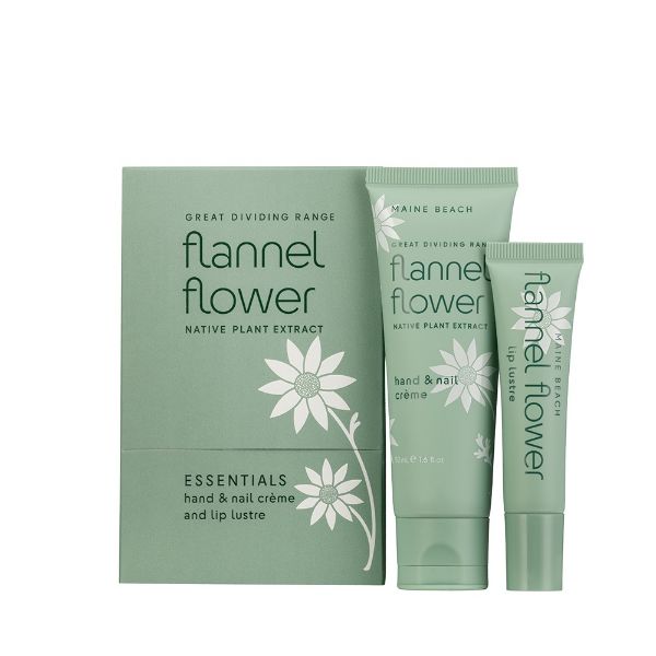 Picture of Flannel Flower Essentials Pack