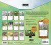 Picture of 2027 Lang SONGBIRDS Calendar By Susan Bourdet