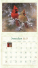 Picture of 2027 Pine Ridge BIRDS OF A FEATHER Calendar By Abraham Hunter