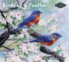 Picture of 2027 Pine Ridge BIRDS OF A FEATHER Calendar By Abraham Hunter