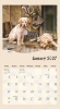 Picture of 2027 Pine Ridge MUST LOVE DOGS Calendar By Jim Killen