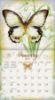 Picture of 2027 Lang BUTTERFLIES Calendar By Jane Shasky