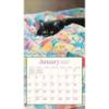 Picture of 2027 Lang CATS IN THE COUNTRY Calendar By Susan Bourdet