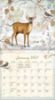 Picture of 2027 Lang FIELD GUIDE Calendar By Susan Winget