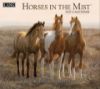 Picture of 2027 Lang HORSES IN THE MIST Calendar By Persis Clayton
