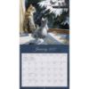 Picture of 2027 Lang LOVE OF CATS Calendar By Persis Clayton Weirs
