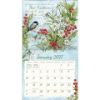Picture of 2027 Lang NATURES GRACE Calendar By Susan Winget